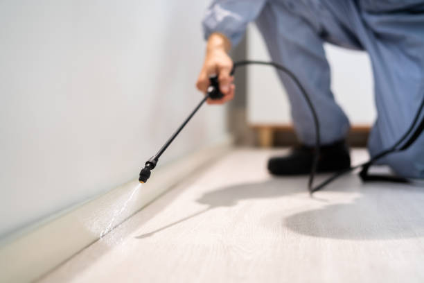 Bed Bug Pre-Treatment Preparation Assessment in Wedgefield