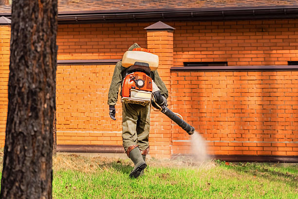 Bed Bug Clearance Verification and Documentation in Wedgefield